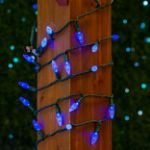 Coaxial Blue 70 LED C6 Strawberry Mini Lights Commercial Grade on Green Wire