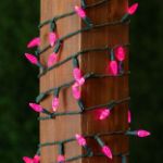 Coaxial Pink 70 LED C6 Strawberry Mini Lights Commercial Grade on Green Wire