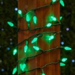 Coaxial *NEW* TrueTwinkle® Green 70 LED C6 Strawberry Mini Lights Commercial Grade on Green Wire