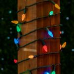 Coaxial *NEW* TrueTwinkle® Multi Color 70 LED C6 Strawberry Mini Lights Commercial Grade on Green Wire