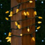Coaxial Orange 70 LED C6 Strawberry Mini Lights Commercial Grade on Green Wire