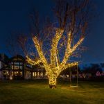 Commercial Grade Wide Angle 50 LED Warm White 17' Long on Green Wire