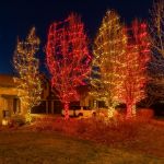 Commercial Grade Wide Angle 70 LED Red 35.5' Long on Green Wire