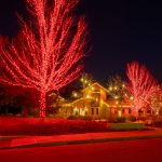 50 LED Red LED Christmas Lights 11' Long on Green Wire