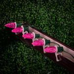 PeakPro Pink C7 LED Replacement Bulbs 25 Pack