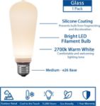Velora Light ST19 LED Glass Edison Bulb
