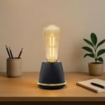 Velora Tint ST19 LED Glass Edison Bulb
