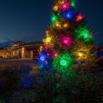 Green 150 Light Starlight Sphere 10"