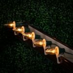 5 Pack Clear Transparent C7 7 Watt Bulbs